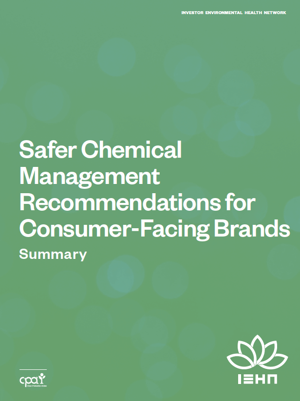 IEHN_SaferChemicalManagementGuidance_July11_2024_1.png